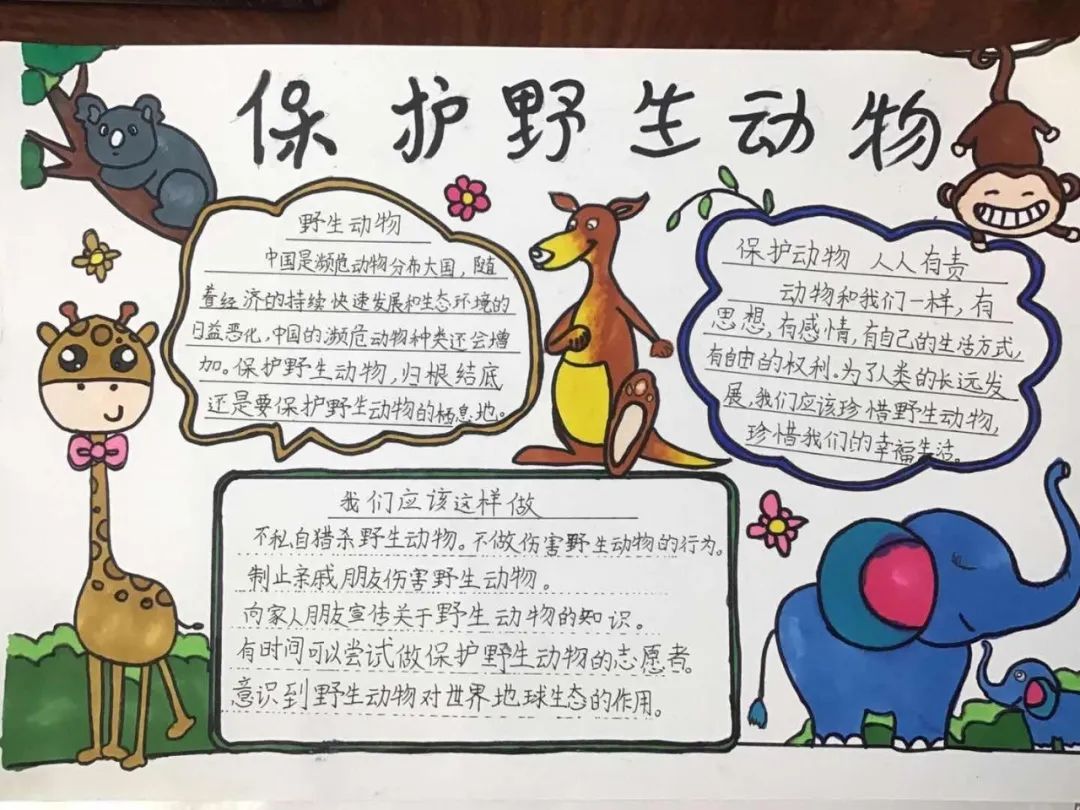 2 2  02 四年级组成果展示 我手写我心 我们呼吁:敬畏自然,拒绝野味