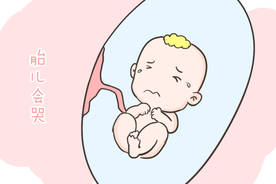 原创孕妈们有没有好奇过胎宝宝在肚子里都干什么看完后真的超忙