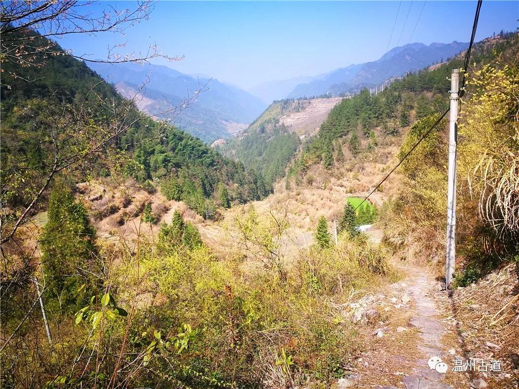 温州吴山岭古道 百年盐道路沧桑,一蓑烟雨浸古村_金竹坑