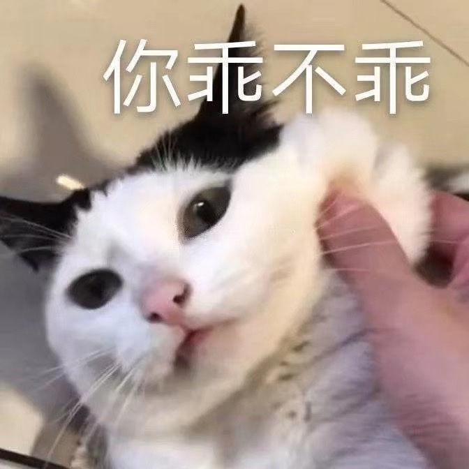 沙雕表情包你乖不乖我要闹了看你智商只有这么多