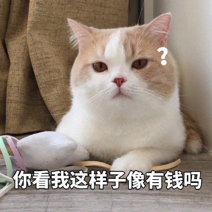 沙雕表情包:你乖不乖,我要闹了,看你智商只有这么多