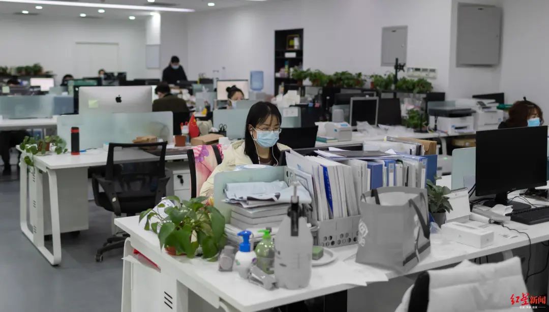 简阳芦葭镇集中收购点正在分装草莓 ↑软件园d区成都凡米科技办公室