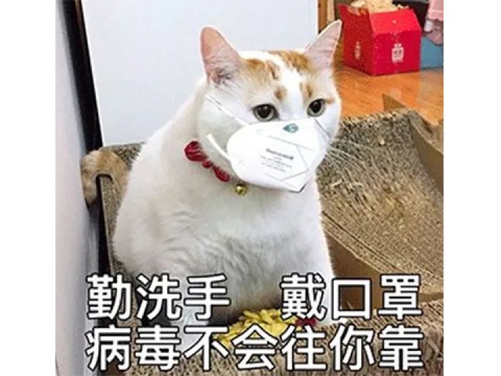 奇什么大什么成语_雷什么大什么的成语(3)