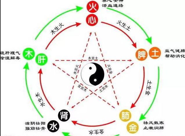 春天养肝,夏天养心,秋天养肺,冬天养肾,四季养脾胃