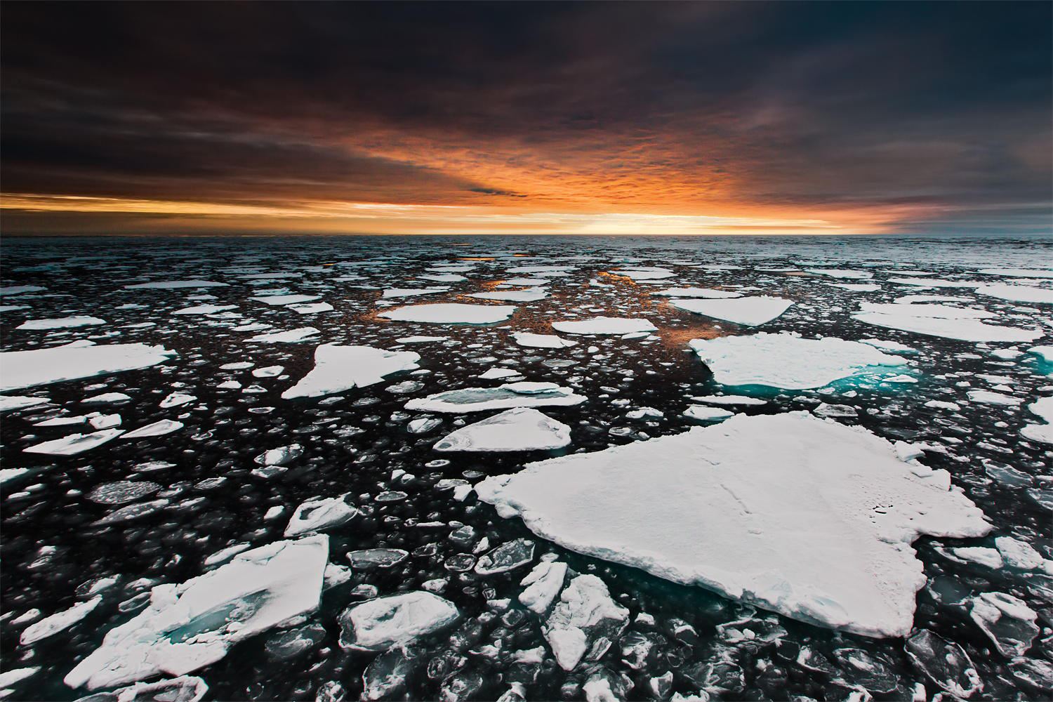 9000万年前的南极长满了温带雨林 - 知乎