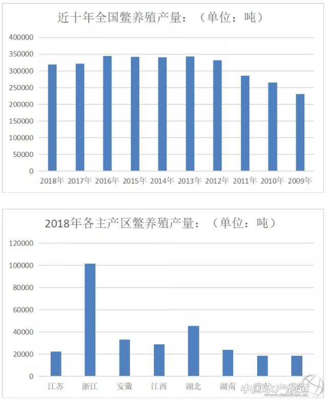 致富经甲鱼养殖视频_致富经甲鱼_致富经甲鱼养殖技术视频