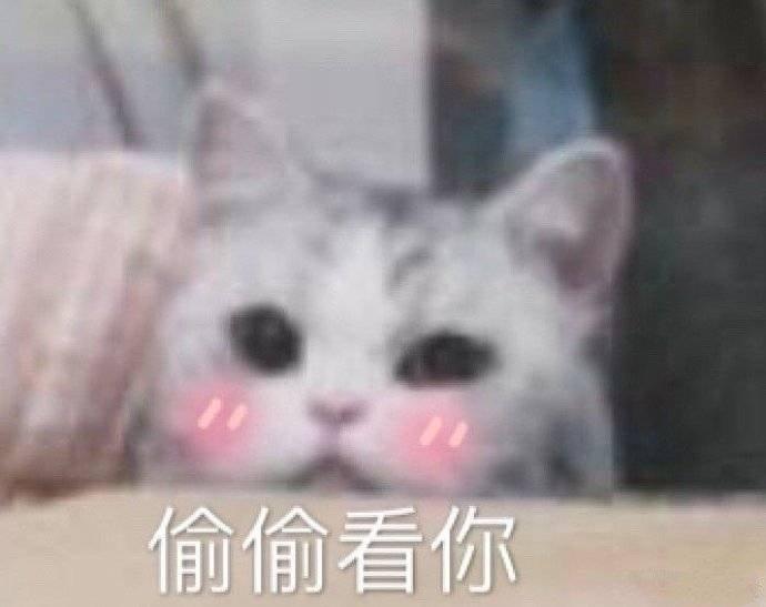 男女感情表情包:女朋友我可超凶的,你可要点脸哦