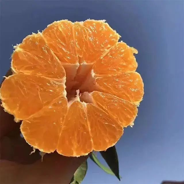 ca9f03552b6a435eb7eae2cb09cc16dd.jpeg