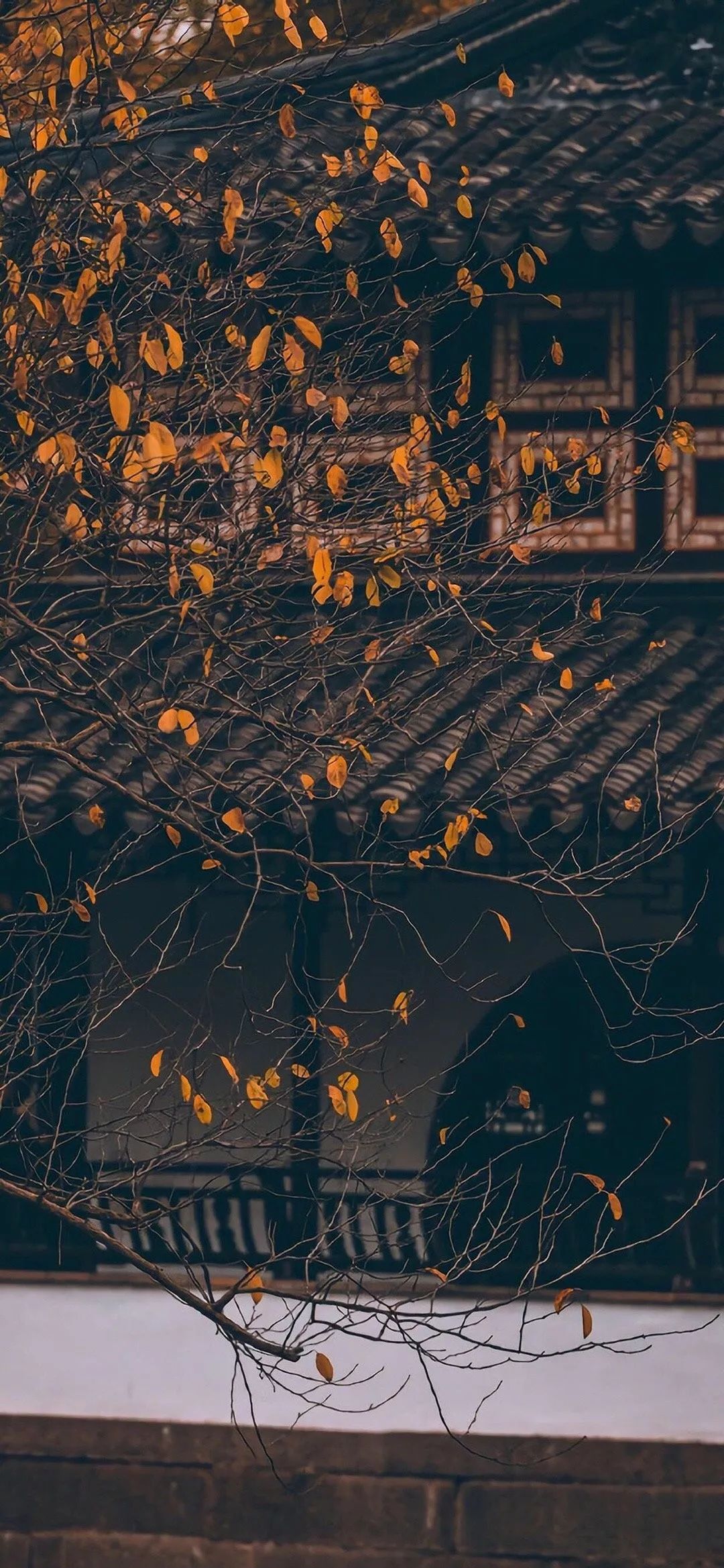 个性潮酷全面屏壁纸