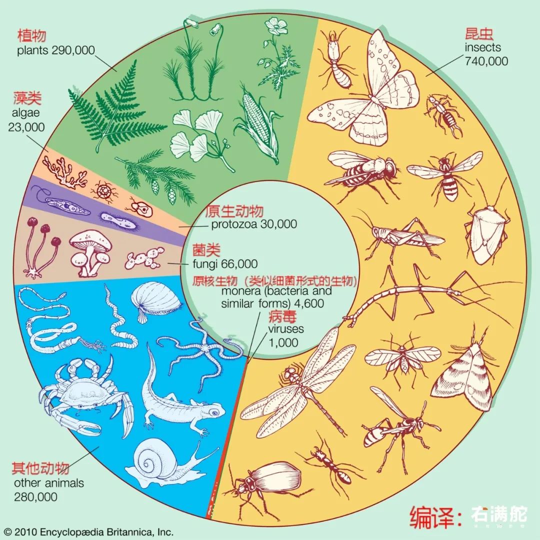 以生物分类法中最后一级的【种】来讲,科学家们已经命名并且分类了130