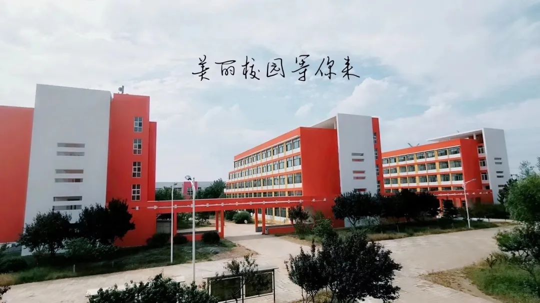 青岛市技师学院2020年大学生技师班招生简章