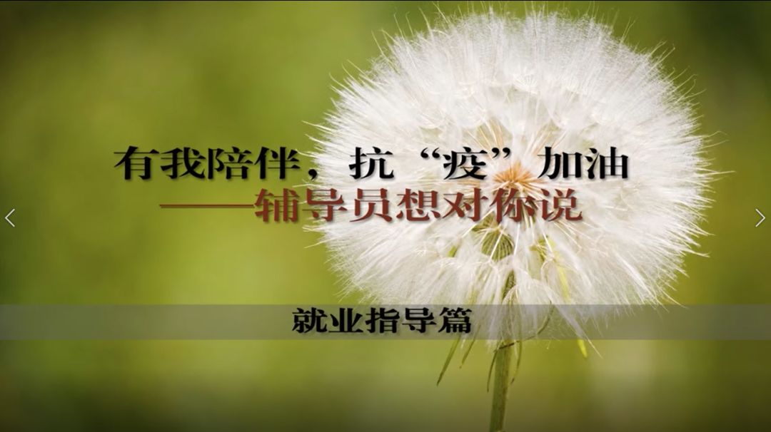 ecfd82716d074ba9a2e4d5d16c6e69d5.jpeg