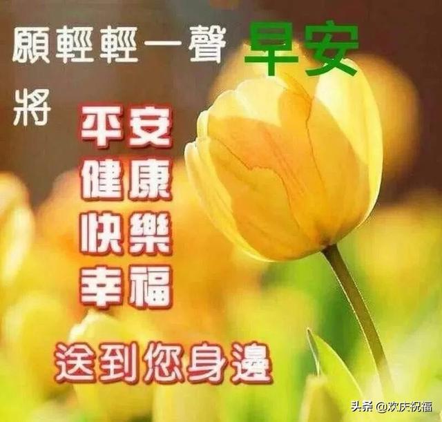 2020二月初八早安祝福语周日早上好问候表情图片带字带祝福语