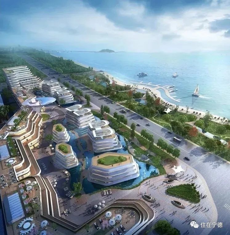 10,福鼎市闽浙现代农贸城