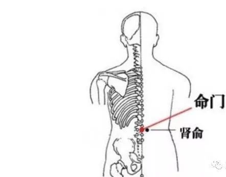 臀部不通,妇科必来!艾灸八大穴位,通臀部,调妇科,瘦大腿!
