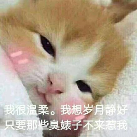 145042faaa084f6390f9864359e77e70.jpeg