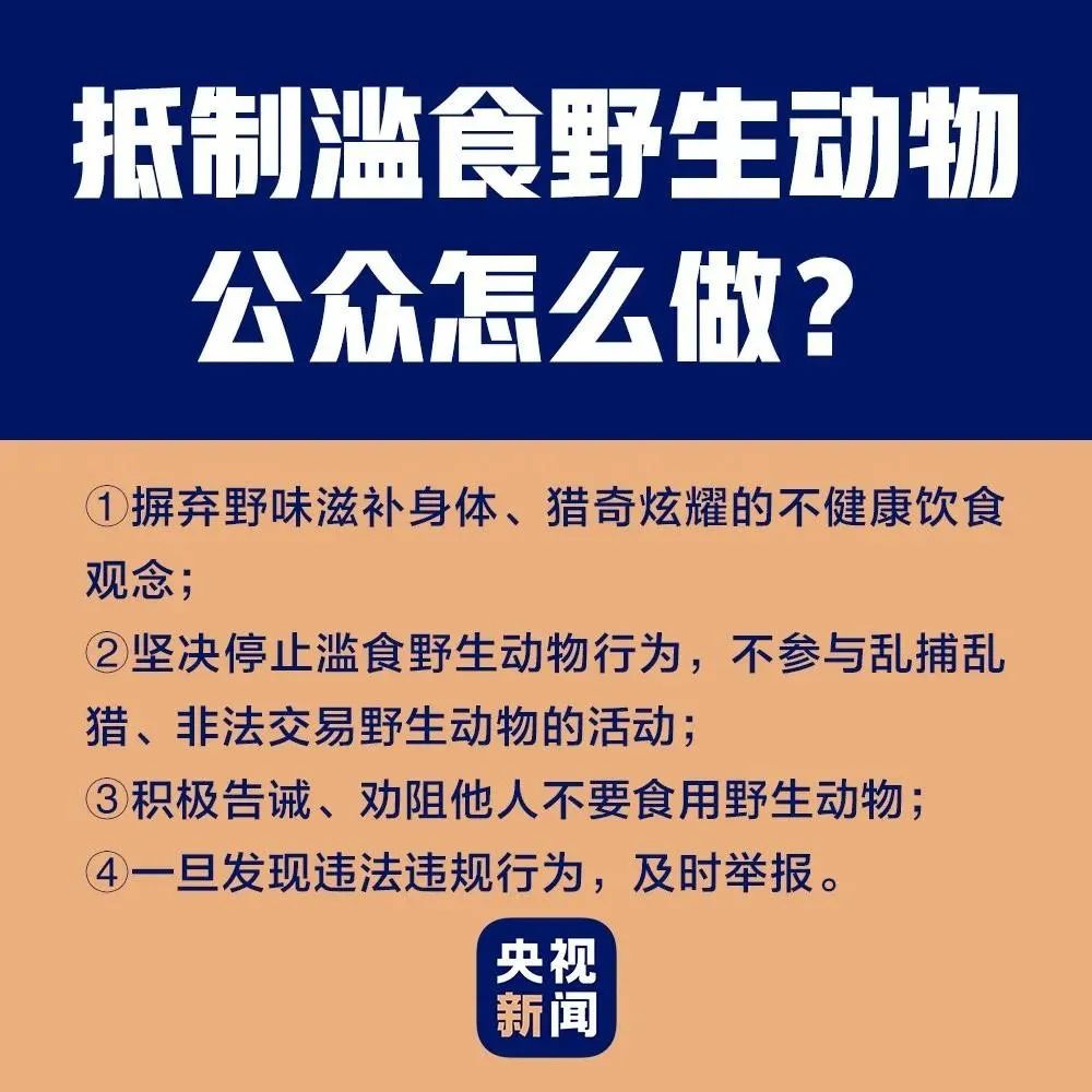 恩平街坊:拒绝吃野味!遇到这些情况,请立即举报!