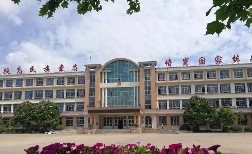 高校资讯(二) | 德州科技职业学院2020年单独招生,综合评价招生简章
