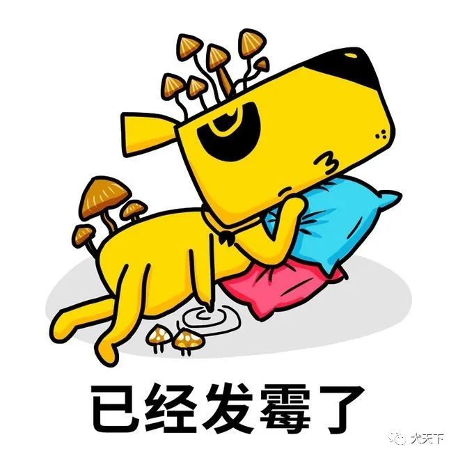 带我出去遛遛吧!疫情中"歇够了"的中国犬业(宠业)人士