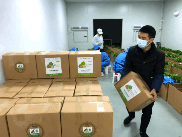 新鲜有机蔬菜顺丰冷链直送!来自龙泉的放心菜,限量600份!