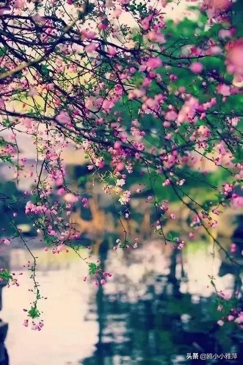 º