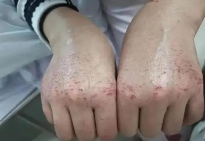 小主人邀您——致敬榜样 全民点赞