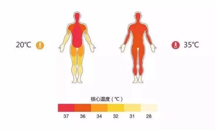 【hva】喜德瑞|关于温度与健康,这些常识你必须知道!