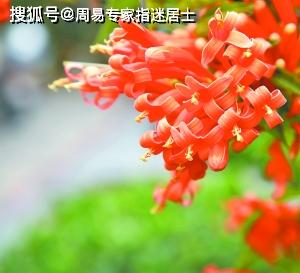 手相算命：男女双手断掌的手相好不好