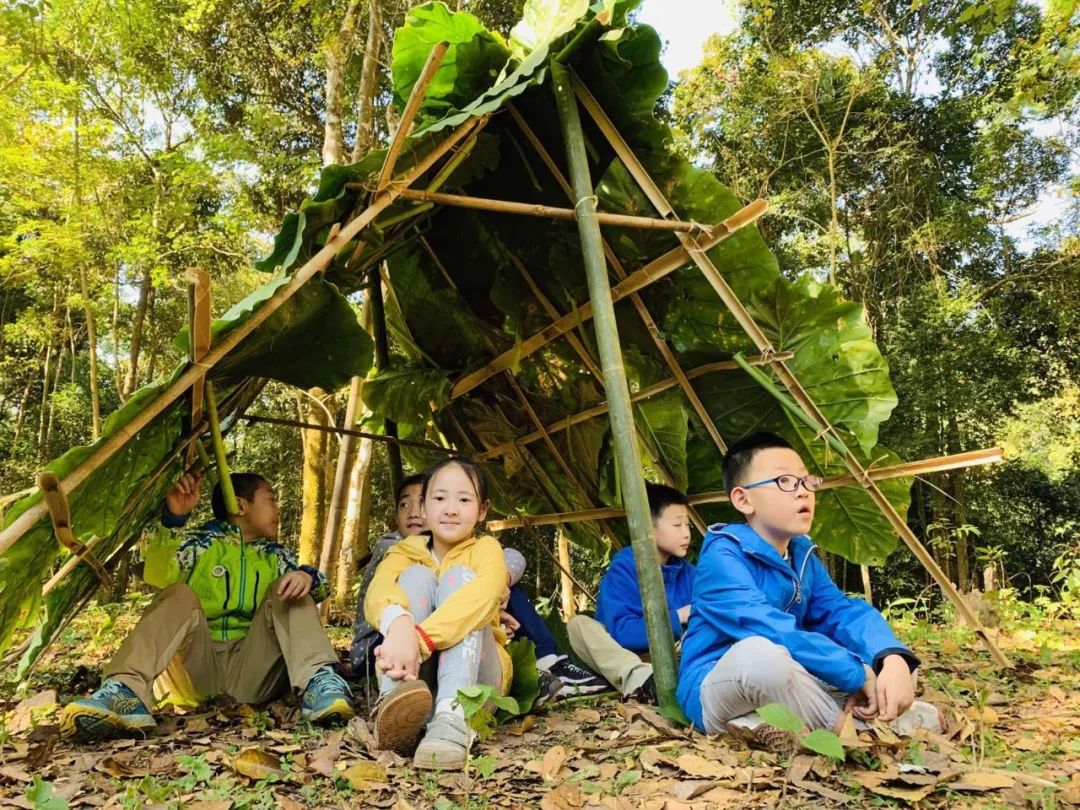 穿越军~全国青少年穿越赛|西双版纳雨林站_丛林