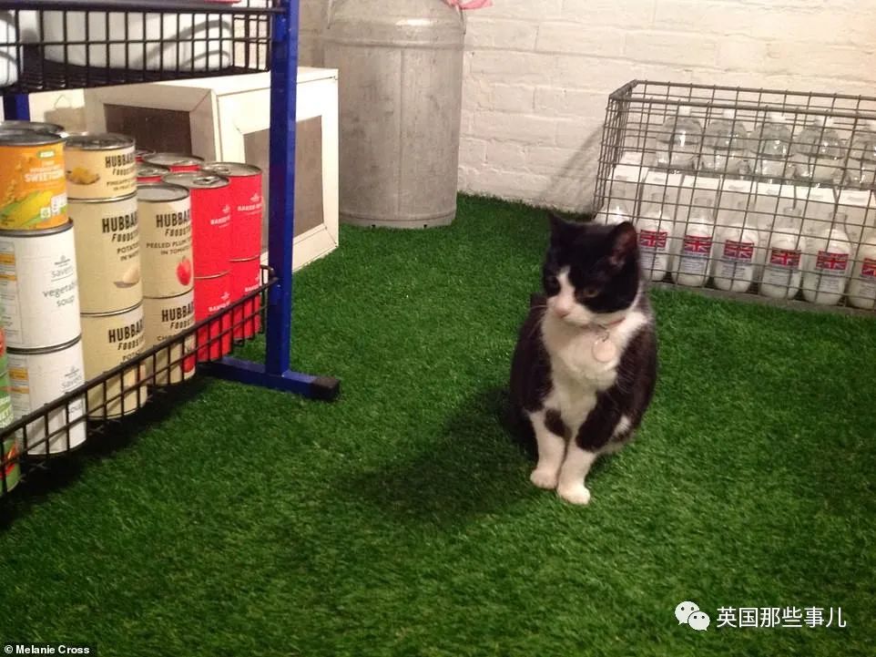 英国各种不设防！民众只能自己囤货了...