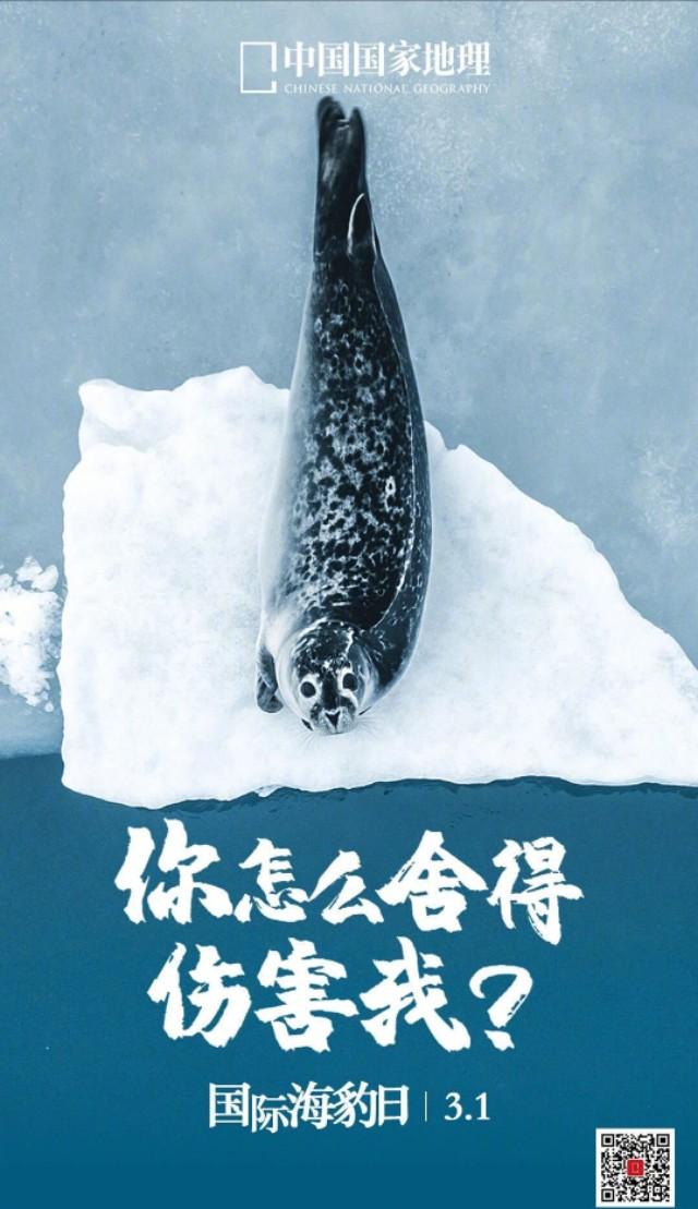 3月1日#国际海豹日# ,请呵护它们!