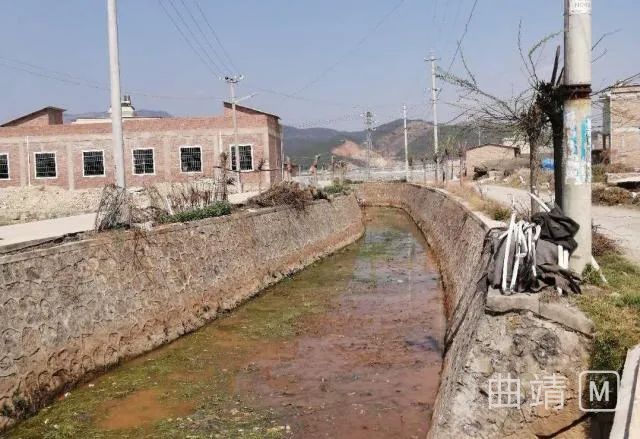 陆良这个村百余人河道清淤 是你们村吗?_后所村