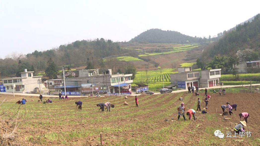 黔西县锦星镇庆民村驻村负责人 张顺涪