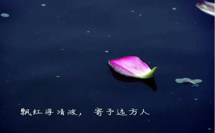 当你想念著一个人时,便觉得在极深极深的心底,有一些莫名的颤动,若隐