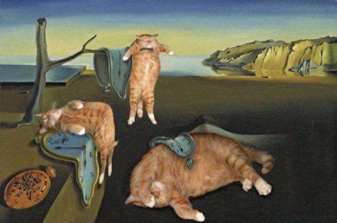 生活还是要继续,再不跟娃安排计划一下,假期结