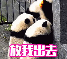 4岁女孩偷溜出家门没戴口罩还要穿马路视频惊人