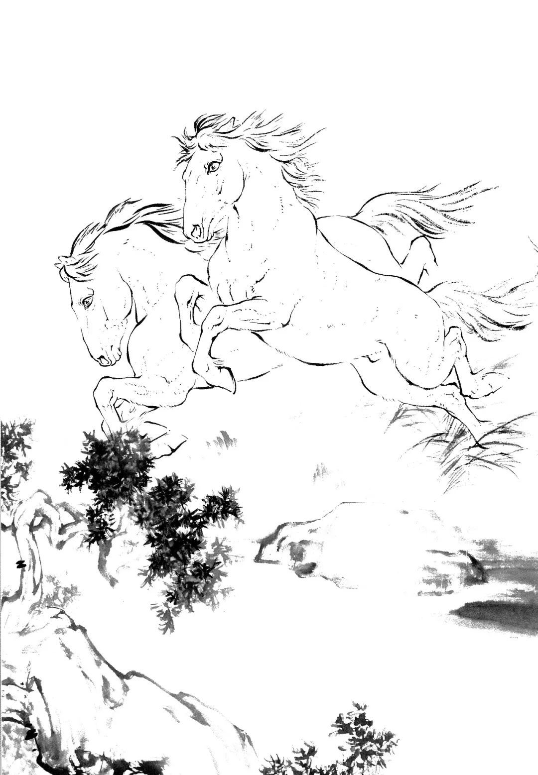 英姿飒爽的工笔白描骏马