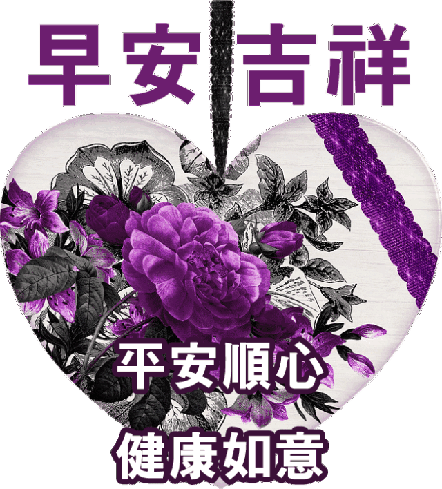友谊,情深意重;问候,沁你心脾,我想,祝你快乐,早上好