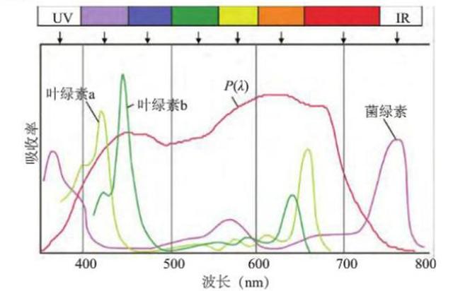 叶绿素的皂化反应原理_油脂截留器(2)