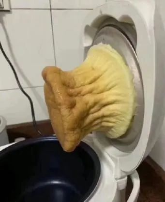 f368785d71d04b34a5461035051ea336.jpeg