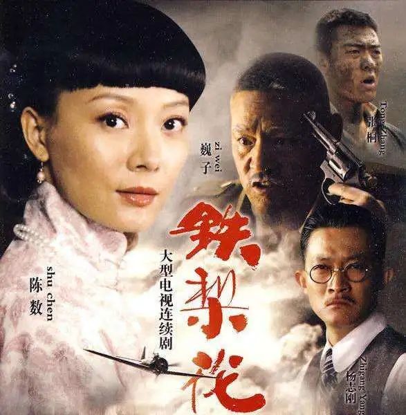 2011年,凭借《铁梨花》获得第17届上海电视节白玉兰奖和第6届华鼎奖