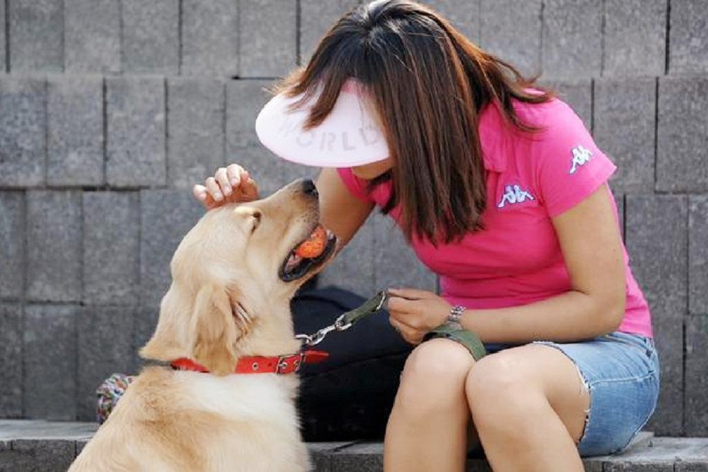 俗語「好男不養貓，好女不養狗」，什麼意思？古人的經驗之談 寵物 第4張