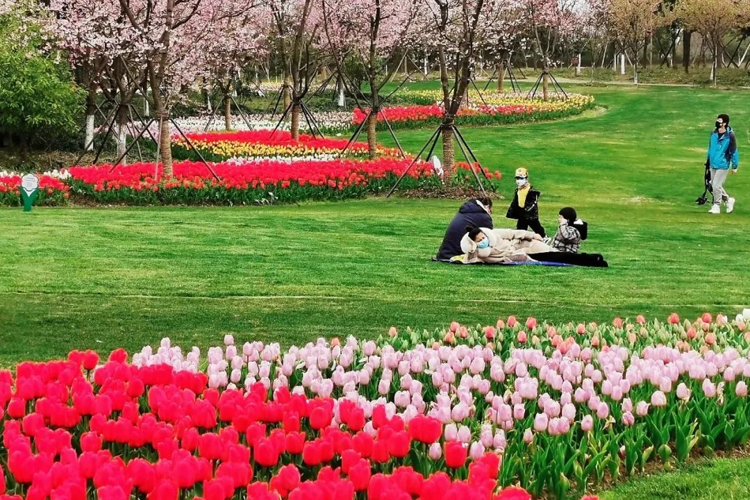 春暖花开,相约宁波植物园!