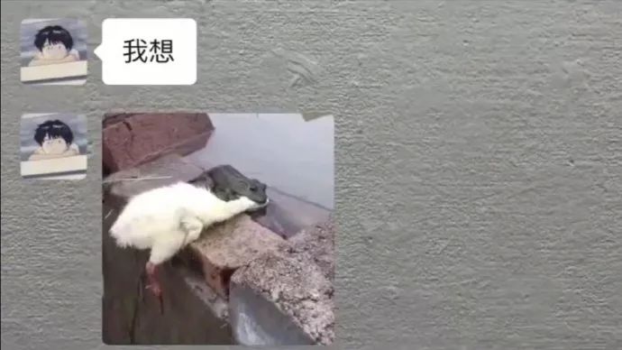 咦!你好污啊