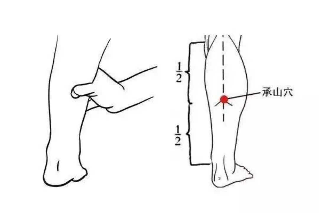 丰隆穴主打健脾和胃化痰,不管是有形还是无形的痰,每天用大拇指点按