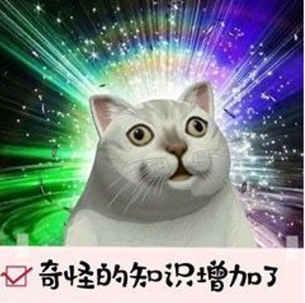 憨憨猫跳舞系列表情包:奇怪的跳舞知识增加了