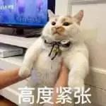 新男友丑陋还已婚？曾和周冬雨暧昧，疑和周迅