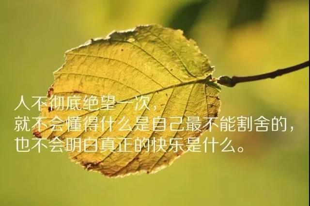 生活就是一边受伤一边学会坚强早安