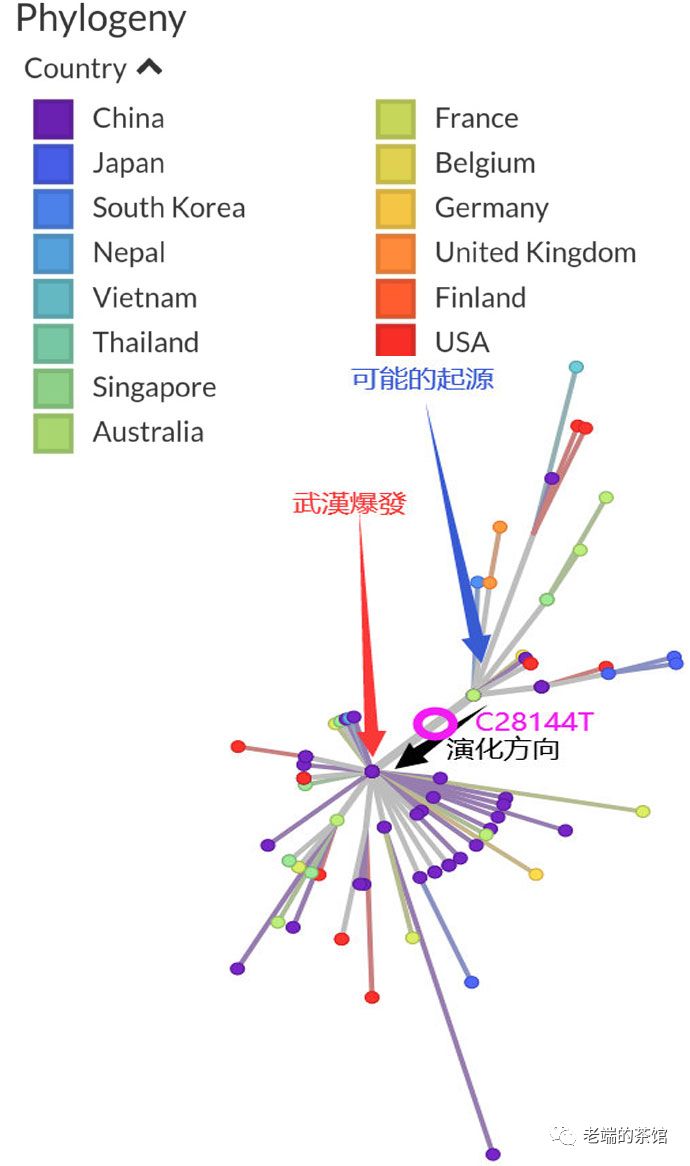 病毒导致人口_人口过多导致住房问题(3)