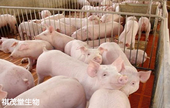 农业农村部:今年生猪生产要接近常年水平,粮食产量1.